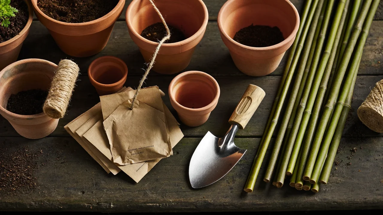 Clay pots, trowel, twine, seed envelopes and canes on a potting bench